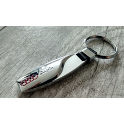 Audi keychain